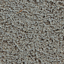 Aquacolor joints lichtgrijs (15 kg)