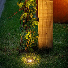 Lightpro Uplights Nomia 12V