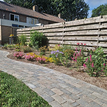Antieke trommel betonstraatsteen 6 cm musselkalk