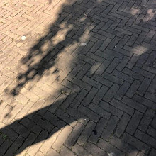 Oude gebakken Dikformaten Geel Woudenberg Variabele Lengte (in bigbags)