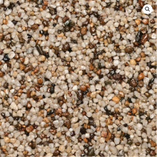 WS StoneBinder Sea Shell